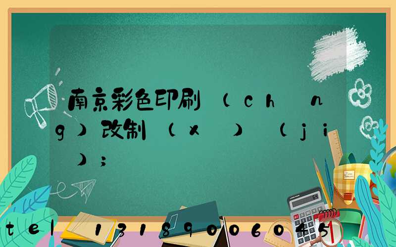 南京彩色印刷廠(chǎng)改制細(xì)節(jié)